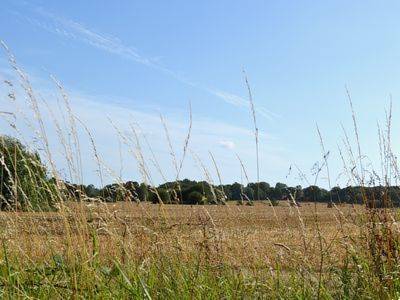 Biddenden United Kingdom Booking Discount booking.com