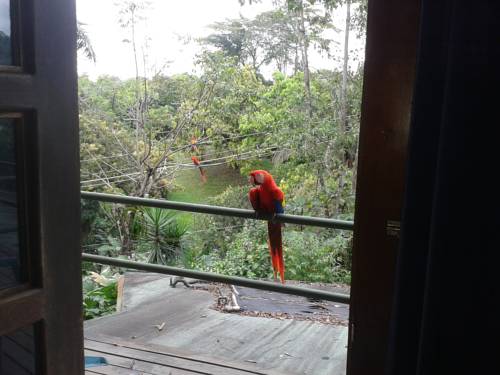 Manuel Antonio Costa Rica Réservation Réduction booking.com