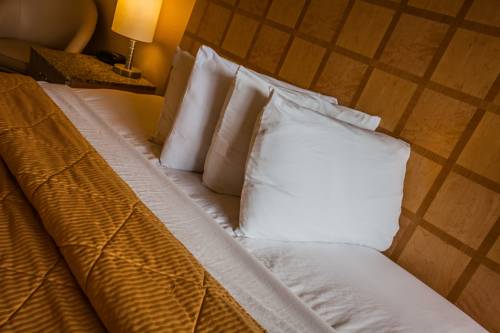 Flagstaff (Arizona) United States Booking Discount booking.com