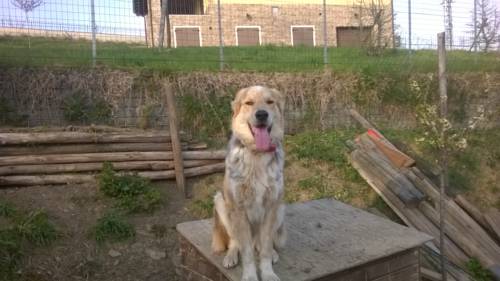 Polinago Italy Booking Discount booking.com