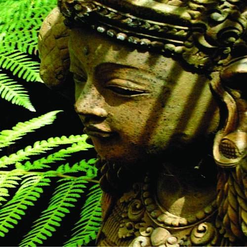 Warburton Australia Booking Discount booking.com