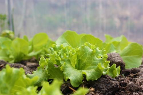 Sesta Godano Italy Booking Discount booking.com