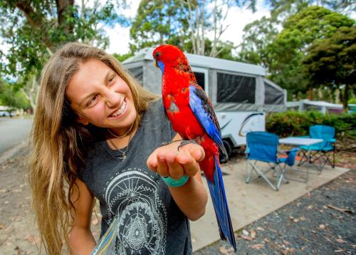 Badger Creek Australia Booking Discount agoda.com