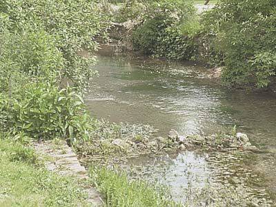 Wickhambreaux United Kingdom Booking Discount booking.com