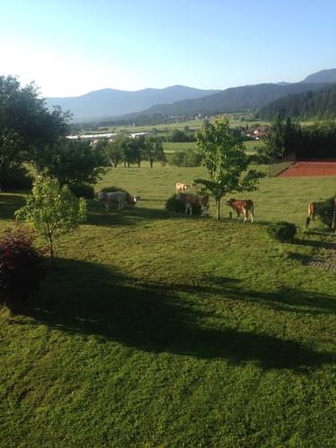 Ljubno Slovénie Réservation Réduction booking.com