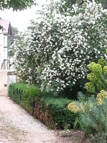 Longford Australia Booking Discount booking.com