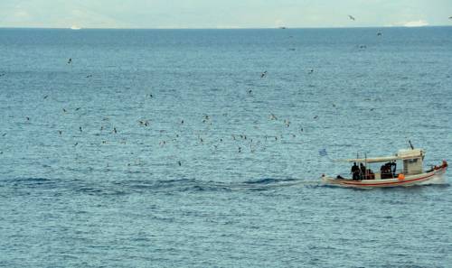 Agia Pelagia Chlomou Greece Booking Discount booking.com