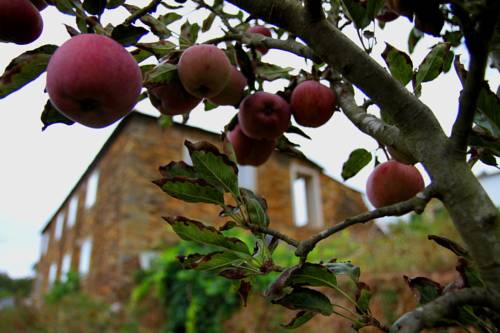 Castelo de Paiva Portugal Booking Discount booking.com