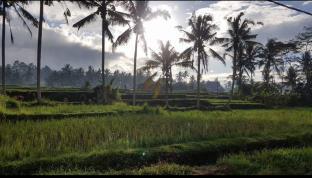Bali Indonesia Booking Discount agoda.com