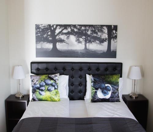 Reykjavik Iceland Booking Discount agoda.com