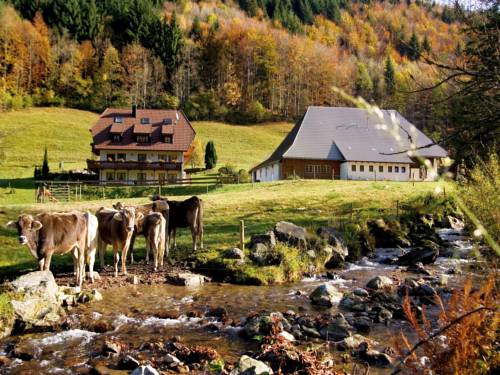 Oberried Germany Booking Discount booking.com