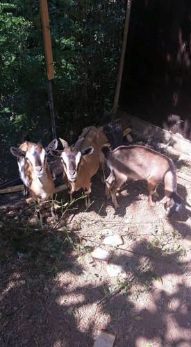 Rotonda Italy Booking Discount booking.com