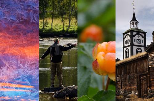 Røros Norvège Réservation Réduction booking.com