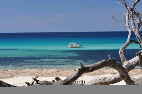 Sant'Antonino France Booking Discount booking.com