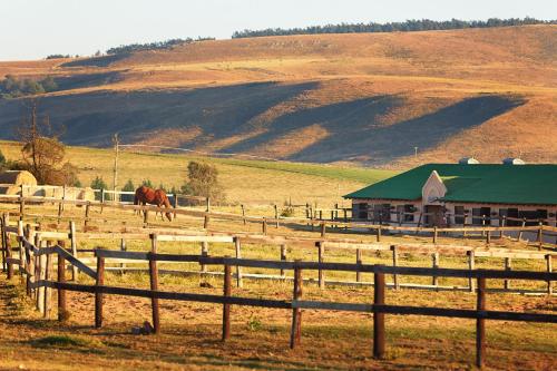 Howick South Africa Booking Discount agoda.com