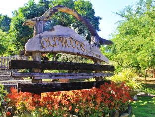 Bani Philippines Booking Discount agoda.com