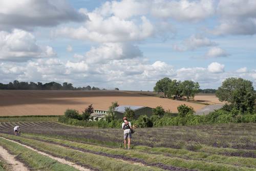 Kent United Kingdom Booking Discount booking.com