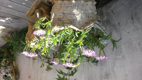 Gwangju South Korea Booking Discount booking.com