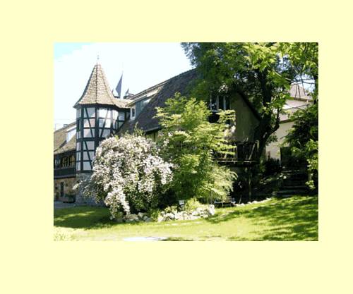 Ittlenheim France Booking Discount booking.com