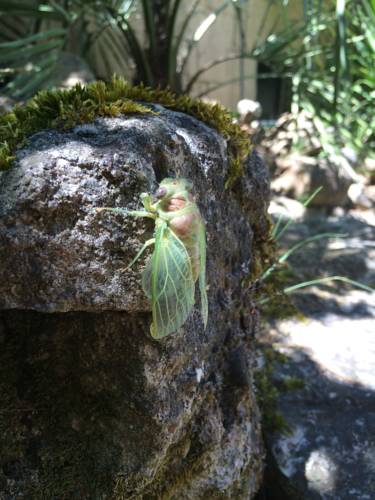 Mérindol France Booking Discount booking.com