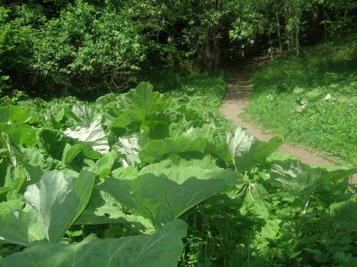 Sewen France Booking Discount booking.com