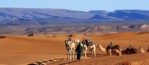 Zagora Morocco Booking Discount booking.com
