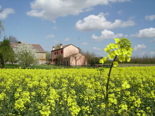 Frassinelle Polesine Italy Booking Discount booking.com