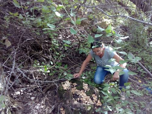 Mira Spain Booking Discount booking.com