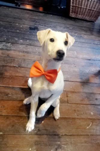 Armathwaite United Kingdom Booking Discount agoda.com