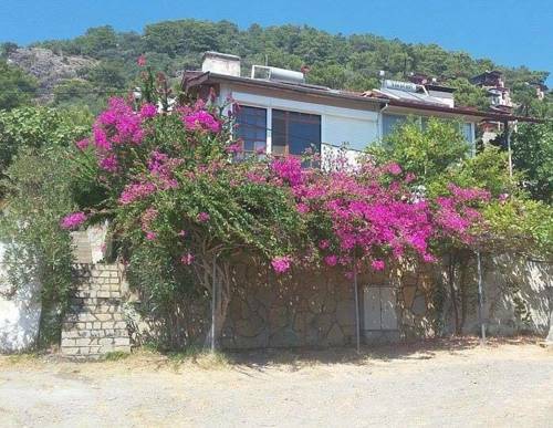 Sarigerme Turkey Booking Discount booking.com