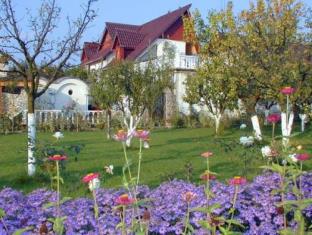 Izvin Romania Booking Discount agoda.com