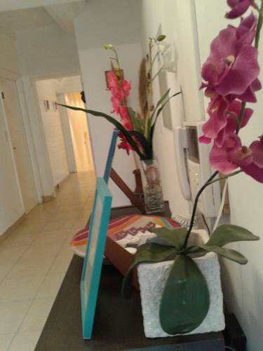 Salta Argentina Booking Discount booking.com