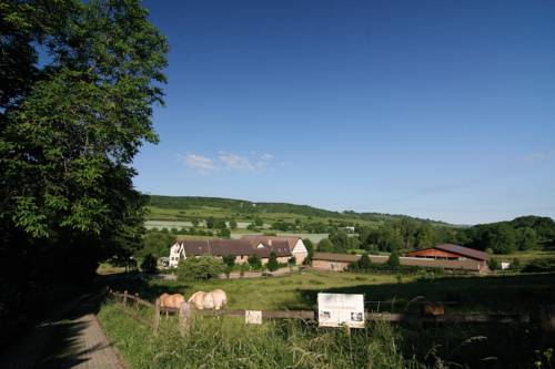 Ingelheim Germany Booking Discount booking.com