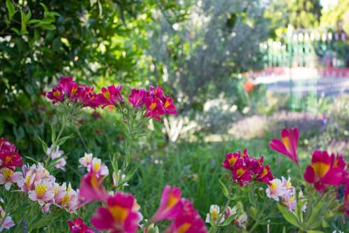 Gariepdam South Africa Booking Discount booking.com