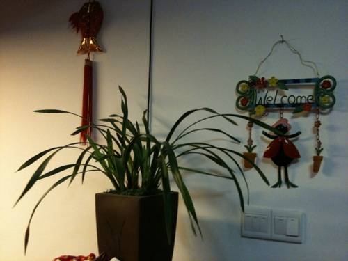 Xiamen China Booking Discount booking.com