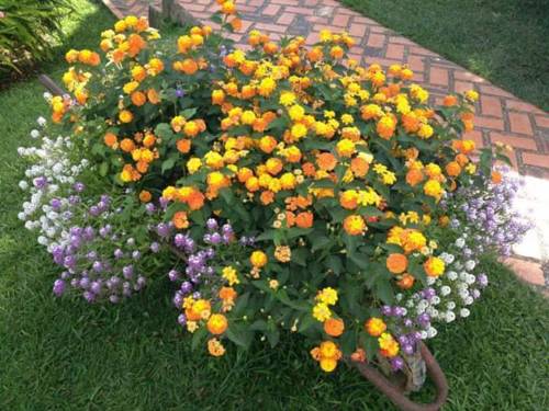 Urrao Colombia Booking Discount booking.com