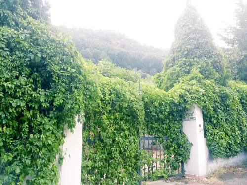 Savoca Italy Booking Discount booking.com