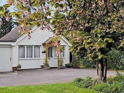 Drinkstone United Kingdom Booking Discount booking.com