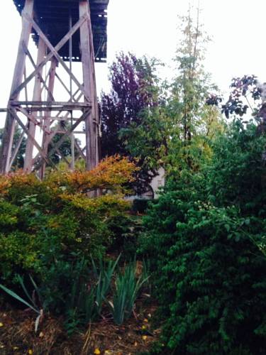 Hamilton Australia Booking Discount booking.com