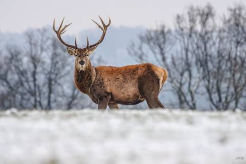 Trois-Ponts Belgium Booking Discount booking.com