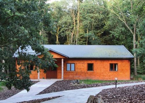 Shropshire Royaume-Uni Réservation Réduction booking.com