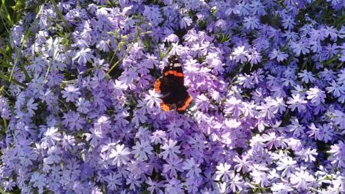 Velletri Italy Booking Discount booking.com