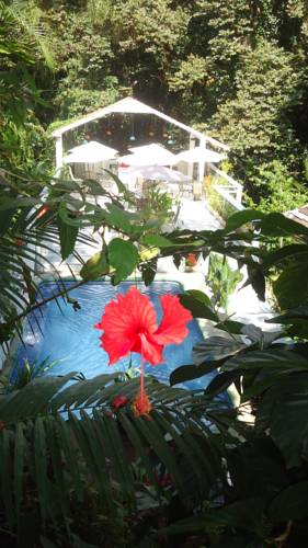 Manuel Antonio Costa Rica Réservation Réduction booking.com