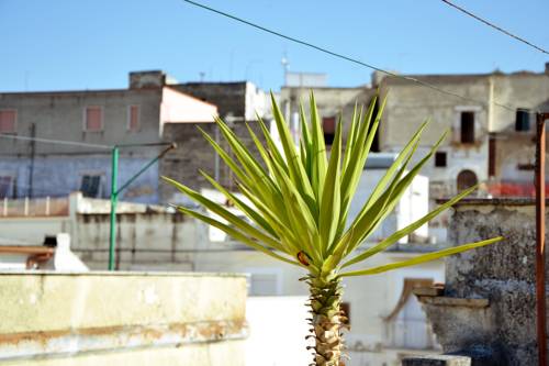 Canosa di Puglia Italy Booking Discount booking.com