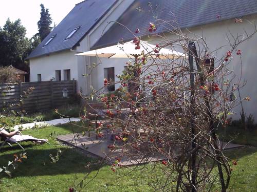 Luitré France Booking Discount booking.com