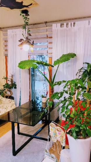 Jeju Island South Korea Booking Discount agoda.com