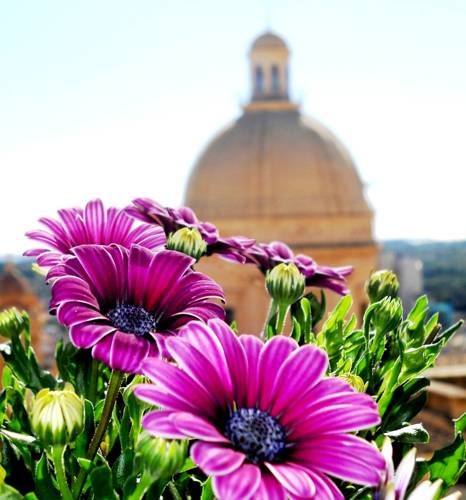 Noto Italy Booking Discount booking.com