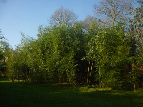 Dompierre du Chemin France Booking Discount booking.com