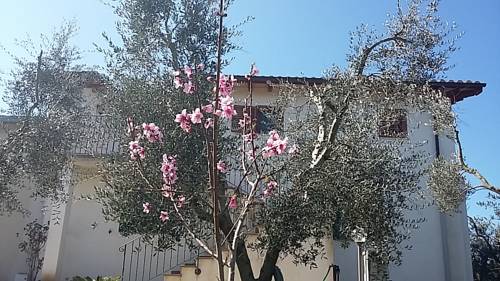 Montalto Di Castro Italy Booking Discount booking.com