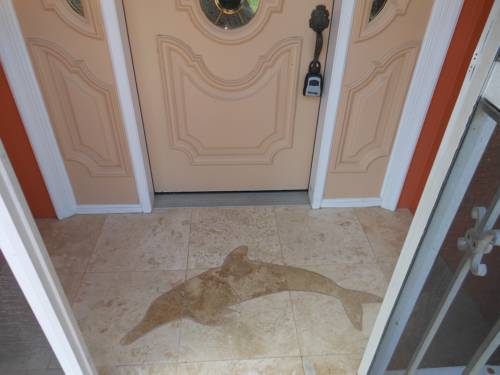 Cape Coral United States Booking Discount booking.com